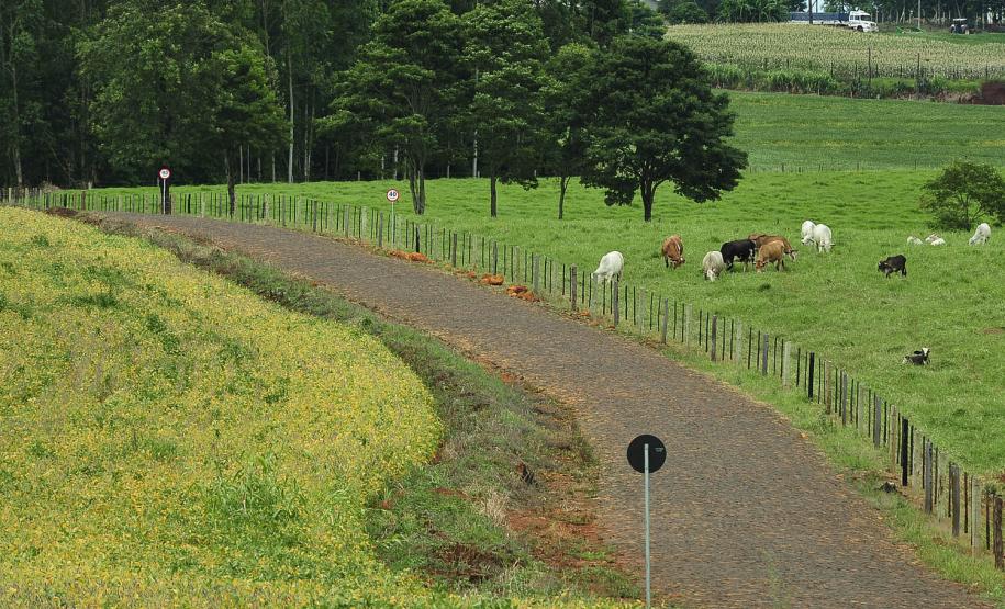 Campanha de Atualização de Rebanhos: resultados parciais Campanha de Atualização de Rebanhos: resultados parciais