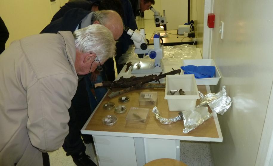 Prática do Curso de CFO/CFOC para Pomáceas