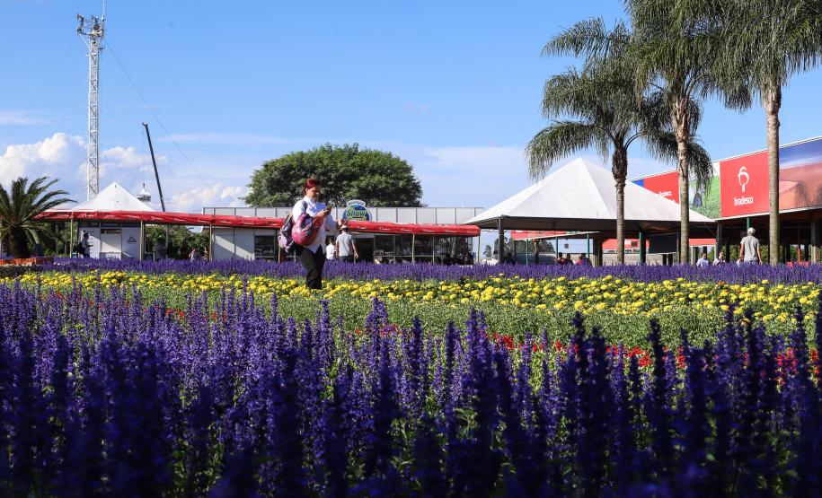 Governo leva estrutura, serviço e tecnologia para o Show Rural Governo leva estrutura, serviço e tecnologia para o Show Rural