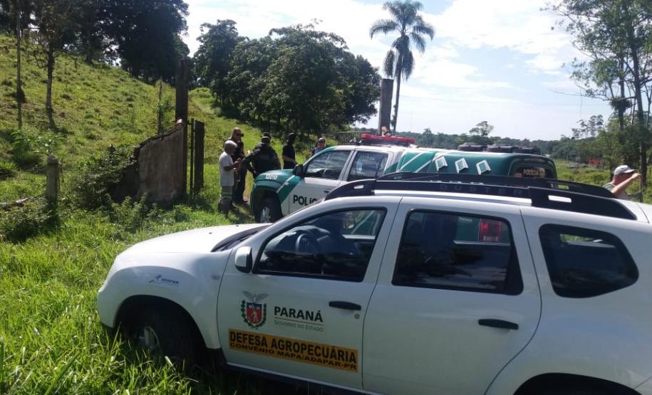 Adapar participa da “Operação Fauna Invasora” Adapar participa da “Operação Fauna Invasora”