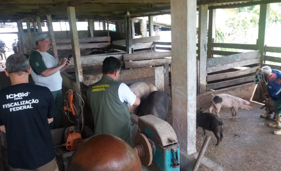 Adapar participa da “Operação Fauna Invasora” Adapar participa da “Operação Fauna Invasora”
