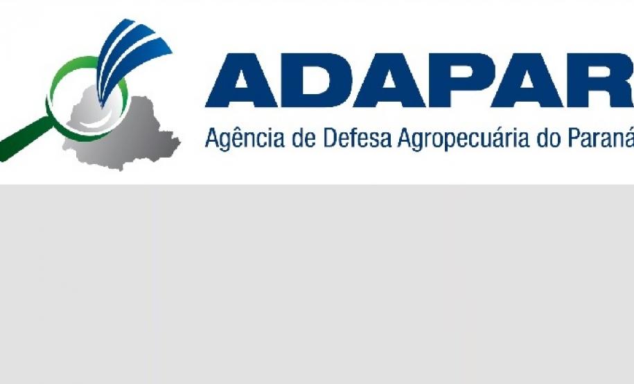 Novas regras para atendimento Novas regras para atendimento e prestação de serviços