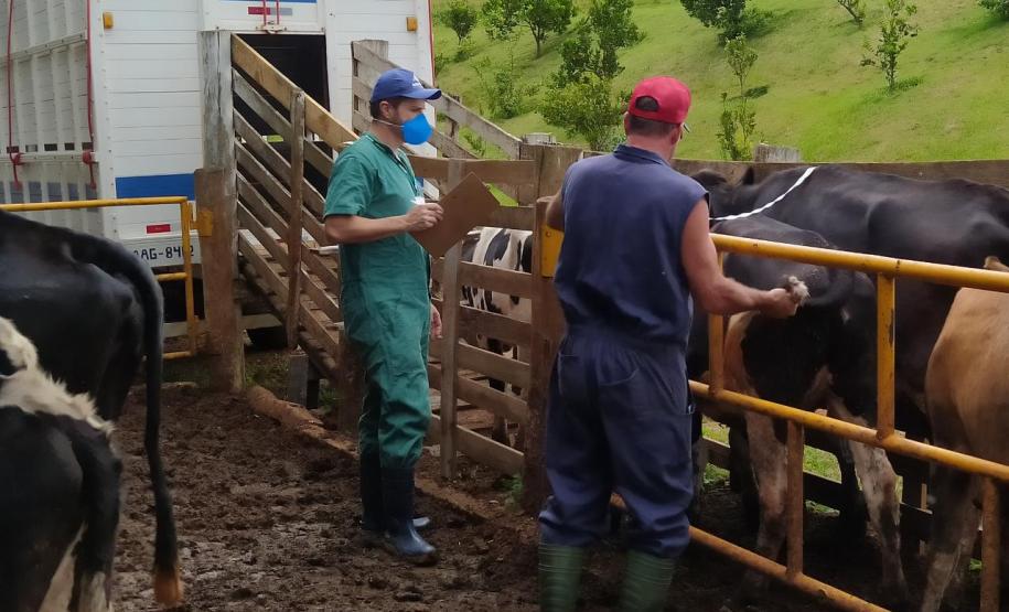 A Adapar não para Mesmo em meio à pandemia de Covid-19, a Agência de Defesa Agropecuária do Paraná (Adapar) conseguiu manter seus trabalhos essenciais.