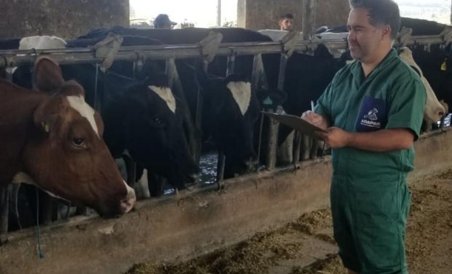 A Adapar não para Mesmo em meio à pandemia de Covid-19, a Agência de Defesa Agropecuária do Paraná (Adapar) conseguiu manter seus trabalhos essenciais.