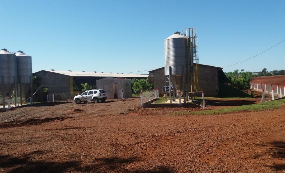 A Adapar não para Mesmo em meio à pandemia de Covid-19, a Agência de Defesa Agropecuária do Paraná (Adapar) conseguiu manter seus trabalhos essenciais.