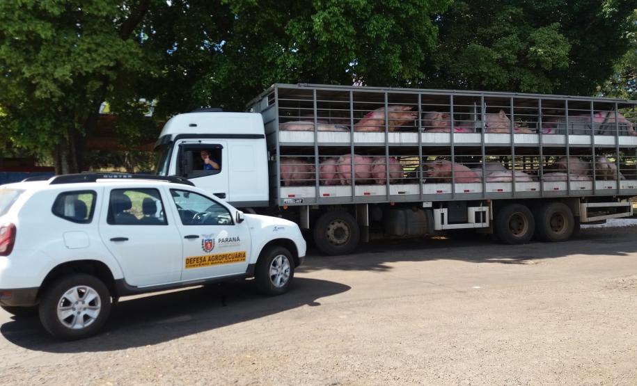 A Adapar não para Mesmo em meio à pandemia de Covid-19, a Agência de Defesa Agropecuária do Paraná (Adapar) conseguiu manter seus trabalhos essenciais.