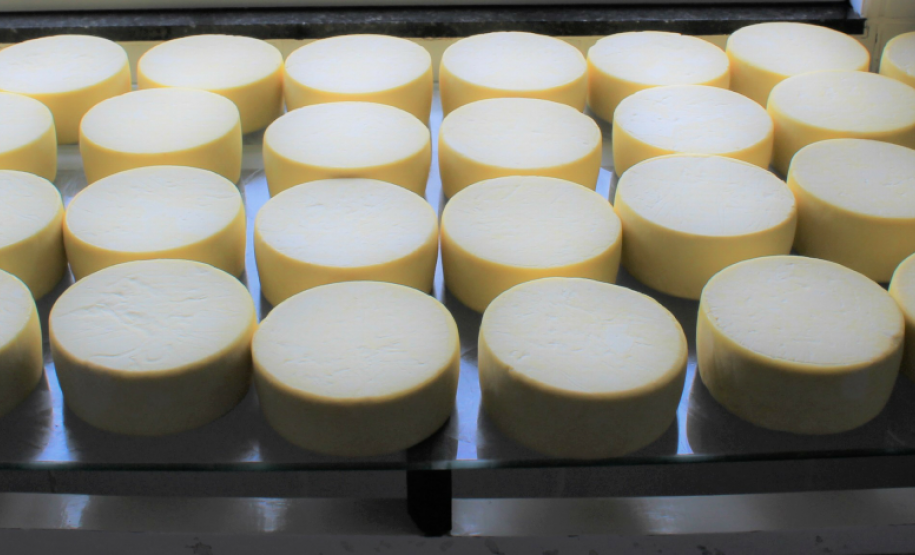 Com esse selo, produtos industrializados coloniais, derivados de carne, leite, pescado, ovos e mel, podem ser vendidos livremente entre os municípios do Estado