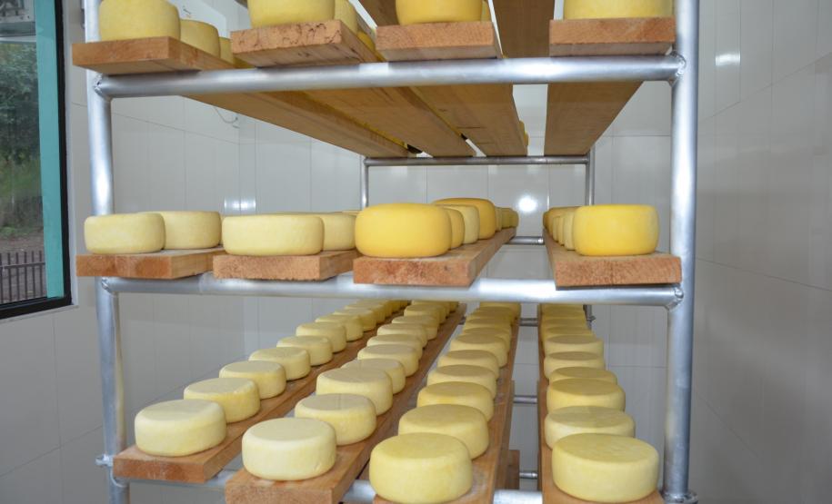 Com esse selo, produtos industrializados coloniais, derivados de carne, leite, pescado, ovos e mel, podem ser vendidos livremente entre os municípios do Estado