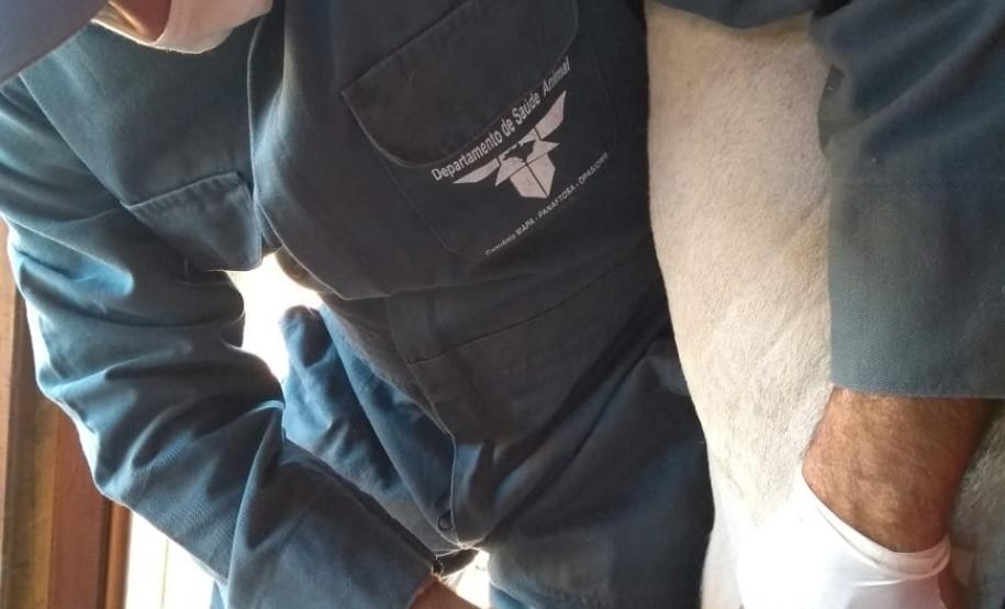 Inquérito Soroepidemiológico Aftosa O inquérito servirá para comprovar que não há circulação viral de febre aftosa no Paraná