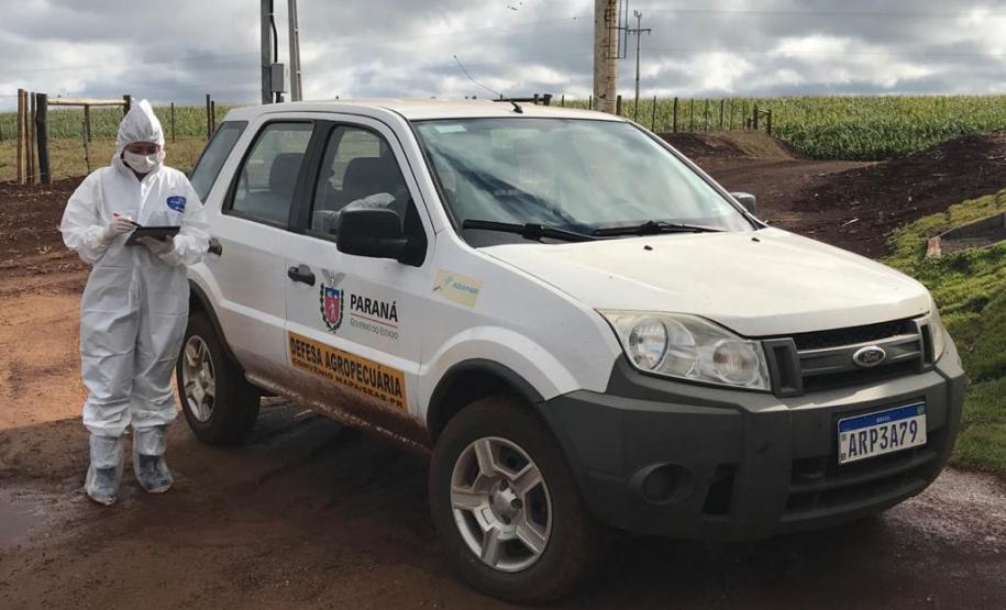 Inquérito Soroepidemiológico Aftosa O inquérito servirá para comprovar que não há circulação viral de febre aftosa no Paraná