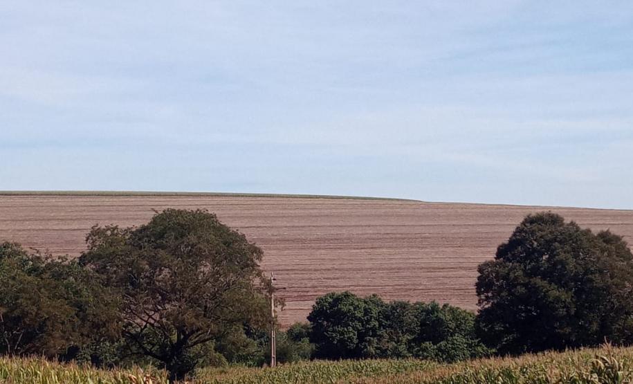 Vazio Sanitário da Soja Entre os dias 10 de junho a 10 de setembro acontece o vazio sanitário da soja no Estado, conforme determina a Portaria nº342/2019 da Agência de Defesa Agropecuária do Paraná (Adapar). Nesse período, fica proibido cultivar, manter ou permitir a presença de plantas vivas de soja em qualquer estádio vegetativo.