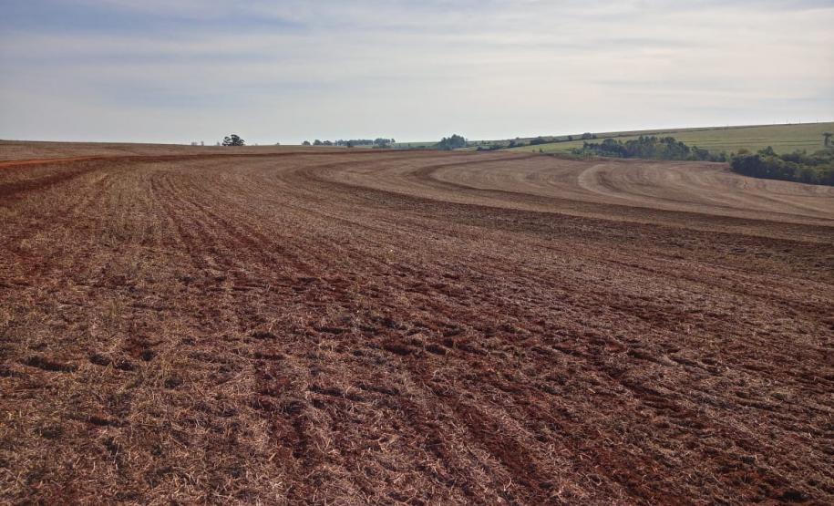 Vazio Sanitário da Soja Entre os dias 10 de junho a 10 de setembro acontece o vazio sanitário da soja no Estado, conforme determina a Portaria nº342/2019 da Agência de Defesa Agropecuária do Paraná (Adapar). Nesse período, fica proibido cultivar, manter ou permitir a presença de plantas vivas de soja em qualquer estádio vegetativo