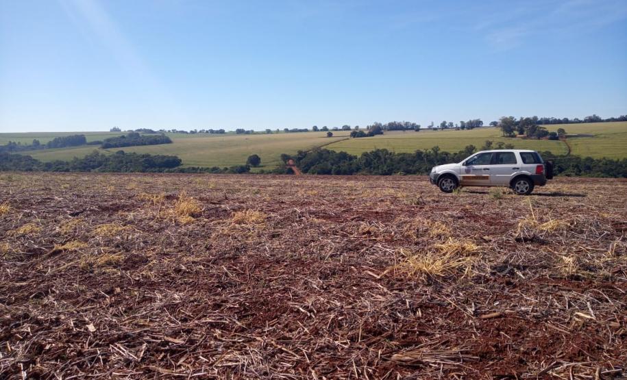 Vazio Sanitário da Soja Entre os dias 10 de junho a 10 de setembro acontece o vazio sanitário da soja no Estado, conforme determina a Portaria nº342/2019 da Agência de Defesa Agropecuária do Paraná (Adapar). Nesse período, fica proibido cultivar, manter ou permitir a presença de plantas vivas de soja em qualquer estádio vegetativo.