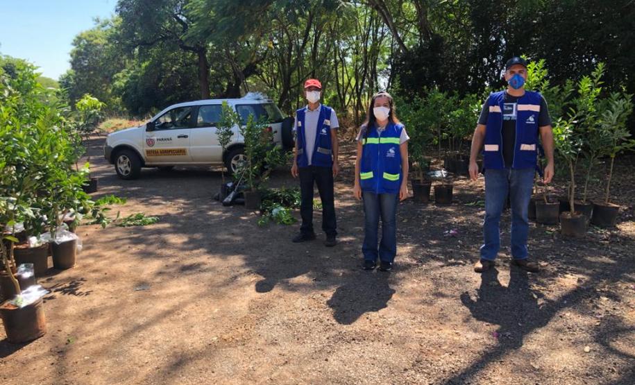 Defesa Vegetal Ações de defesa vegetal garantem segurança alimentar na pandemia