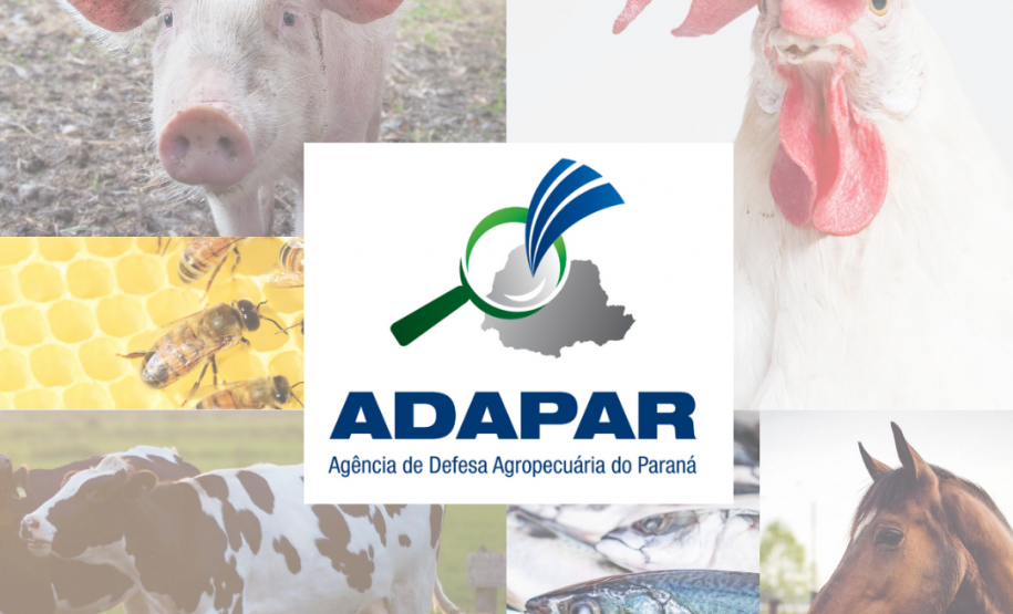 09 de setembro, dia do médico veterinário 09 de setembro, dia do médico veterinário