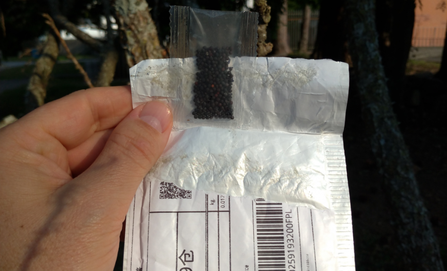 Sementes não solicitadas do exterior Sementes não solicitadas do exterior