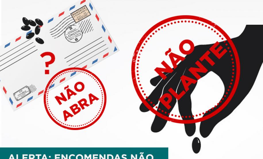 Sementes não solicitadas do exterior Sementes não solicitadas do exterior