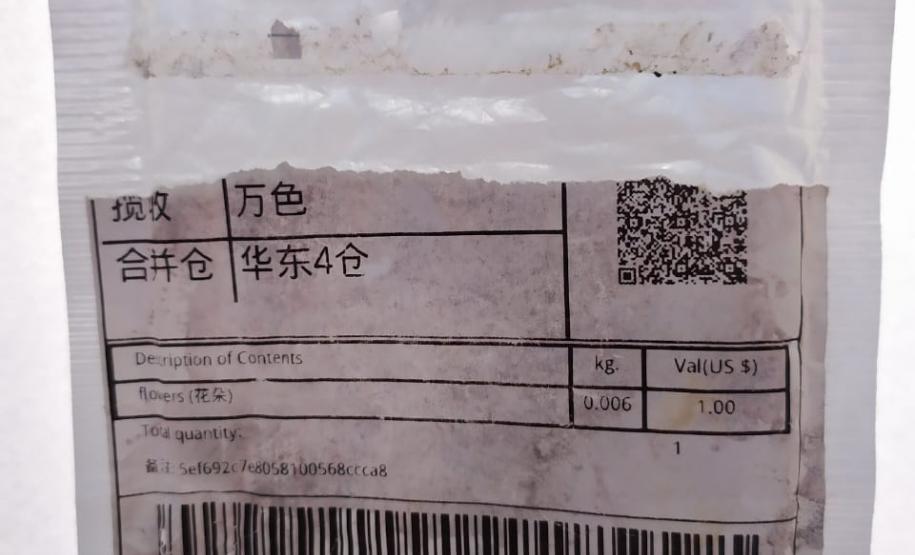 Sementes não solicitadas do exterior Sementes não solicitadas do exterior