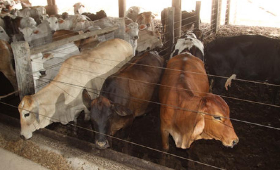 Paraná avança para retomar venda de carne para o Leste Europeu.