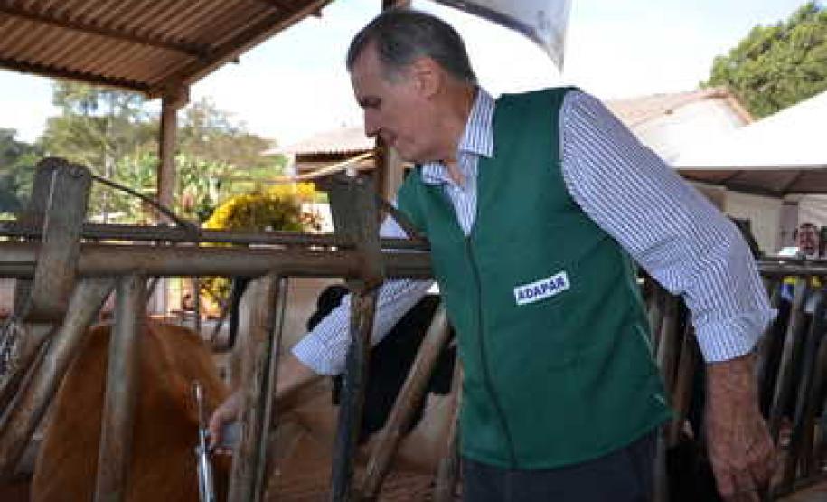Paraná lança campanha estadual de vacinação contra febre aftosa