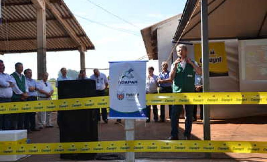 Paraná lança campanha estadual de vacinação contra febre aftosa