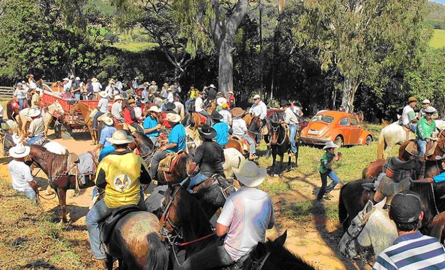 Adapar elimina foco de mormo e Paraná é área livre da doença de cavalo Adapar elimina foco de mormo e Paraná é área livre da doença de cavalo