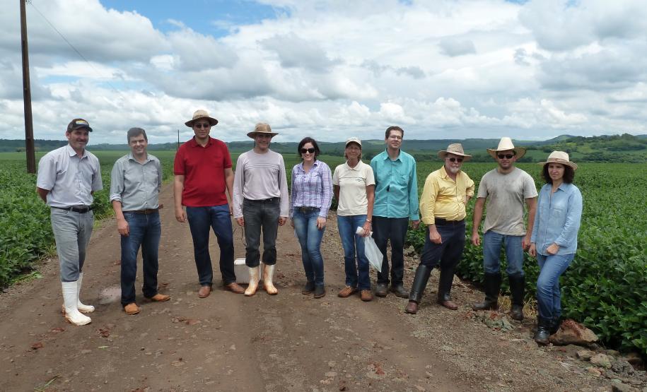 Visita técnica em propriedades rurais no Município de Borrazópolis com objetivo verificar in loco ataque de lagartas do grupo Heliothinae