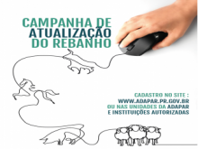 Atualização do Rebanho - passo a passo