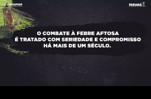 O combate à febre aftosa é tratado com seriedade e compromisso há mais de século.