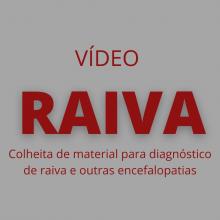 vídeo demonstrativo de colheita de material para diagnóstico de raiva e outras encefalopatias