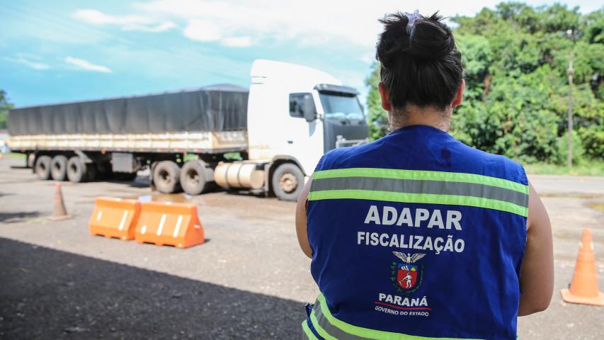 Paraná completa dois anos do status de área livre de febre aftosa sem vacinação neste sábado
