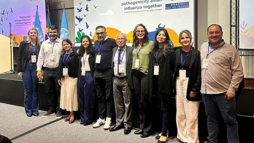 Reunião Global_FAO