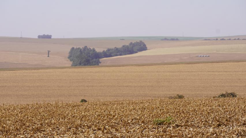 Períodos do vazio sanitário da Soja para a safra de 2026/2027 começam em junho